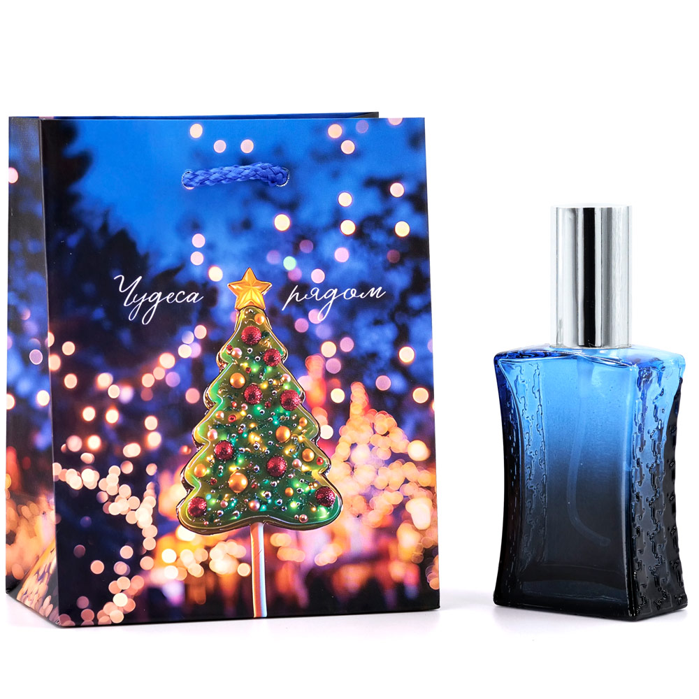 Сумка подарочная Чудеса рядом 11,5*14,5*6,5   