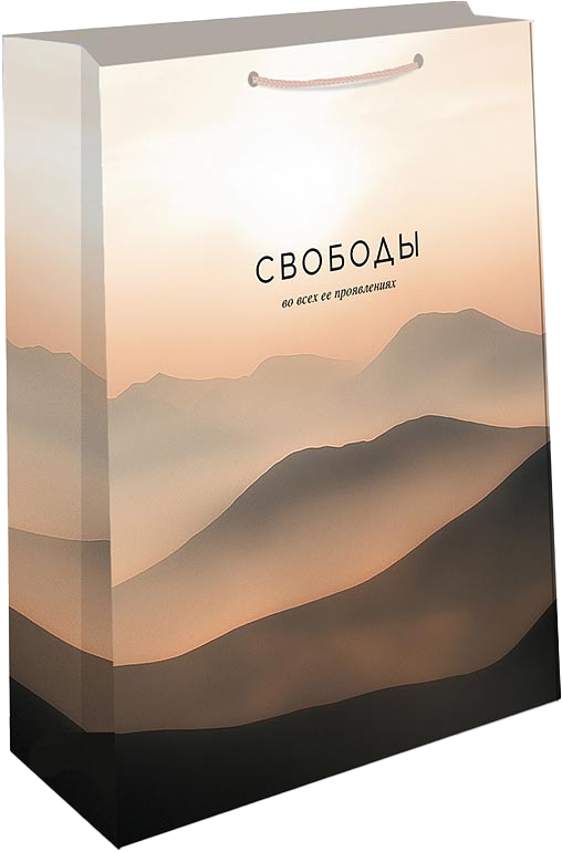 Сумка подарочная Свобода проявления 11,5*14,5*6,5   